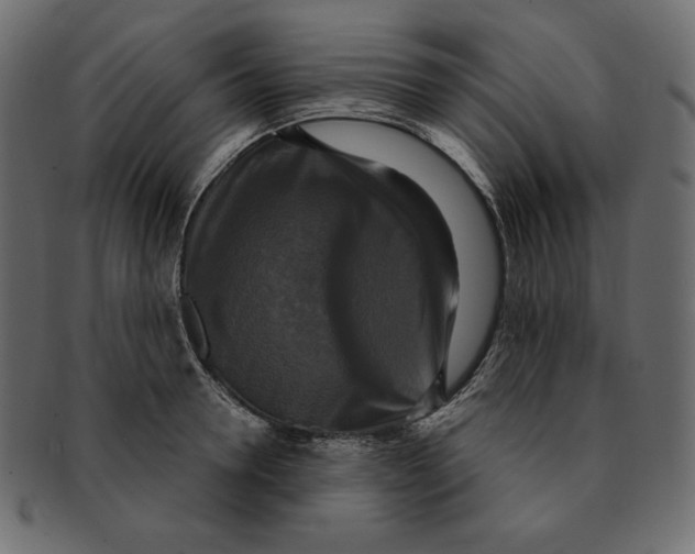 X0000091920946200710031036