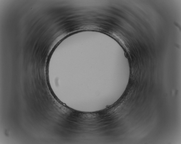 X0000091920947200710031036