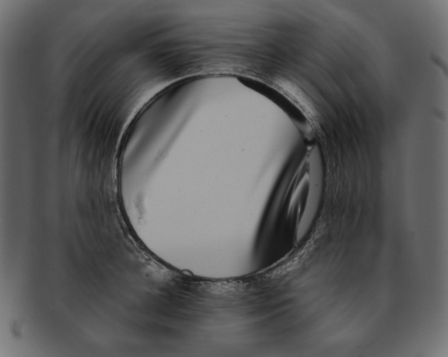 X0000091920948200710031036