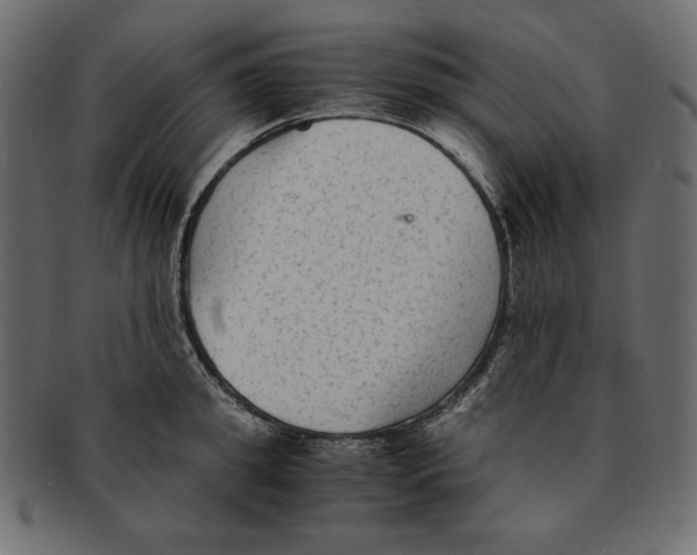 X0000091920949200710031036