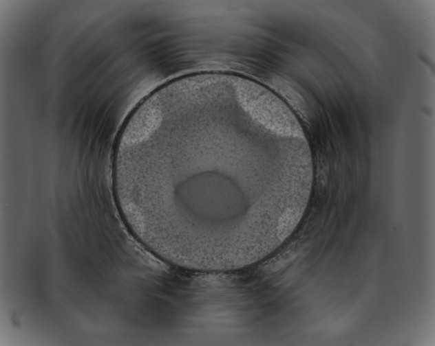 X0000091920950200710031036