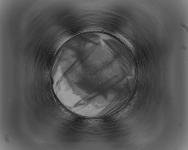 X0000091920953200710031036