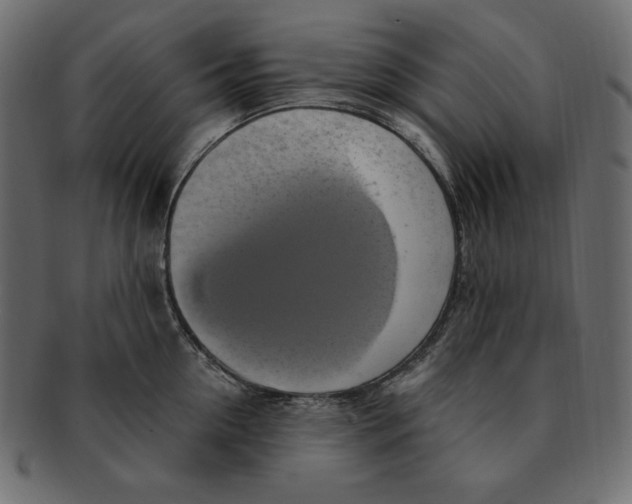 X0000091920954200710031036