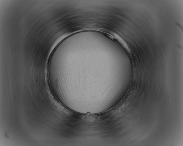 X0000091920955200710031036