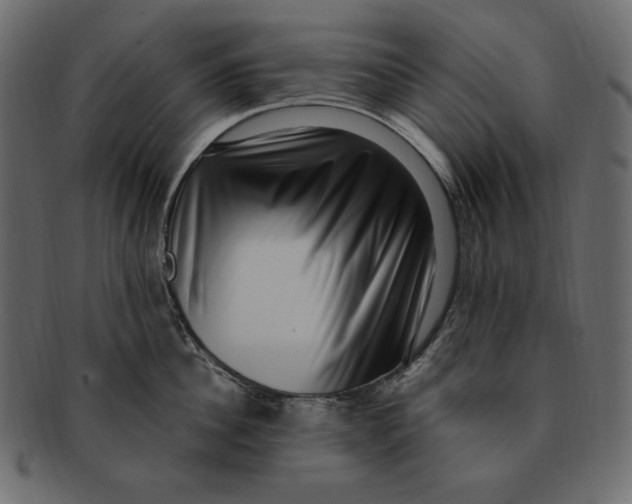 X0000091920956200710031036
