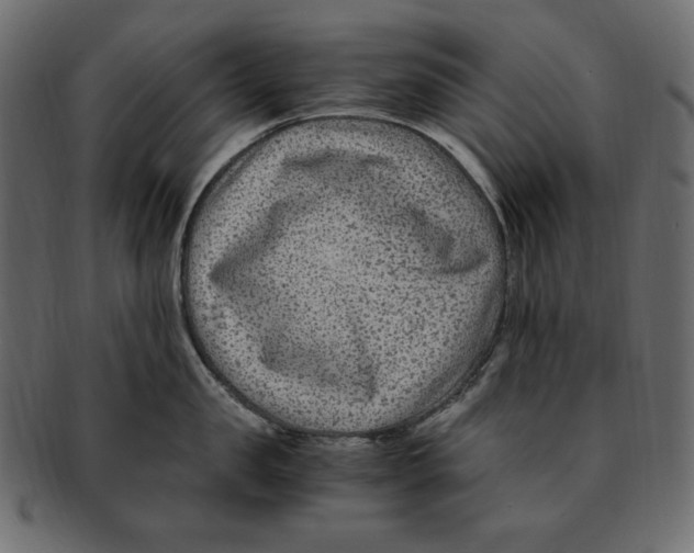 X0000091920957200710031036
