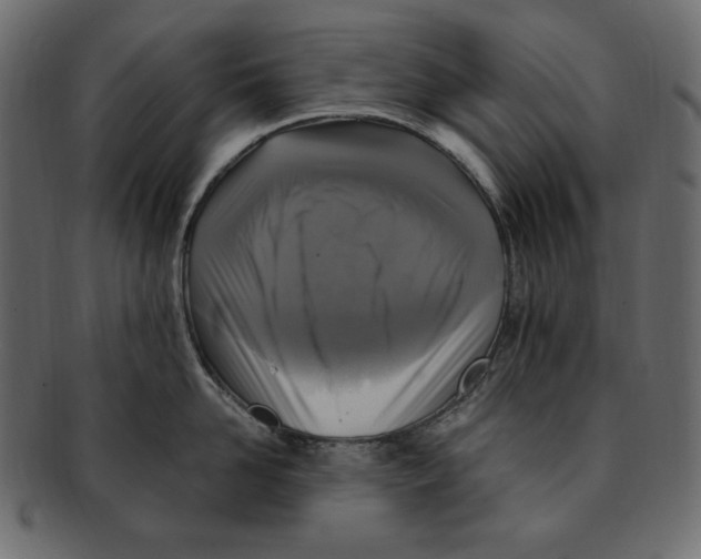 X0000091920958200710031036