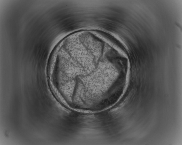 X0000091920959200710031036