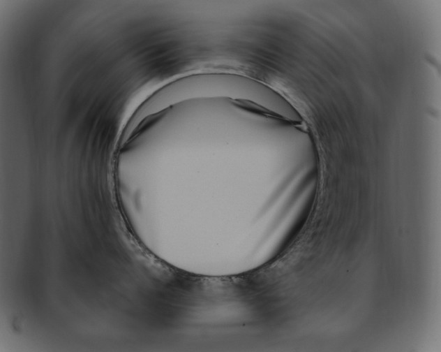 X0000091920960200710031036