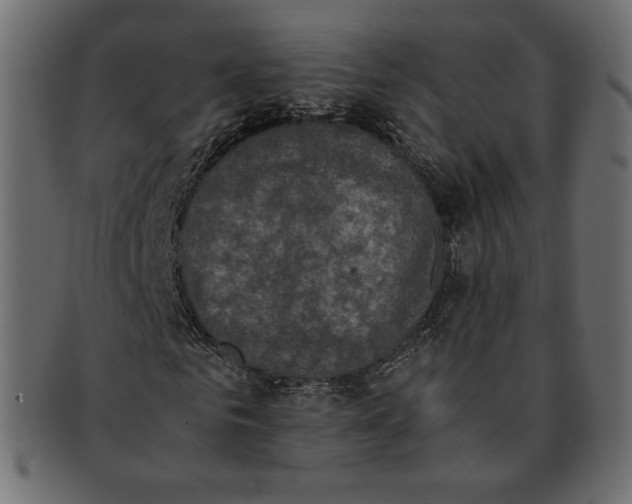 X0000091920961200710031036
