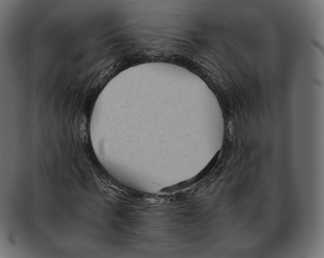X0000091920963200710031036