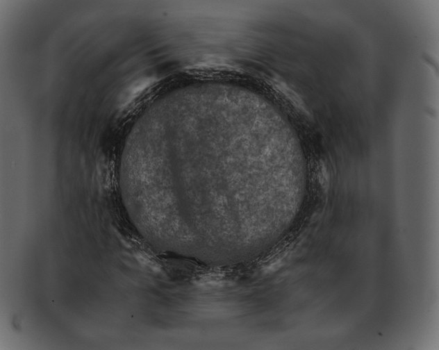 X0000091920965200710031036