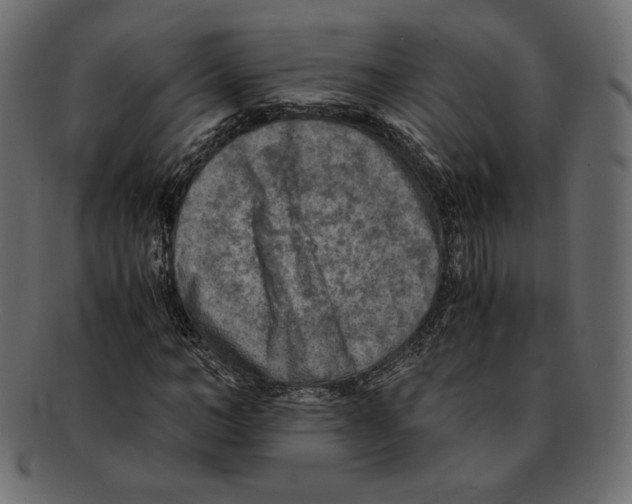 X0000091920966200710031036