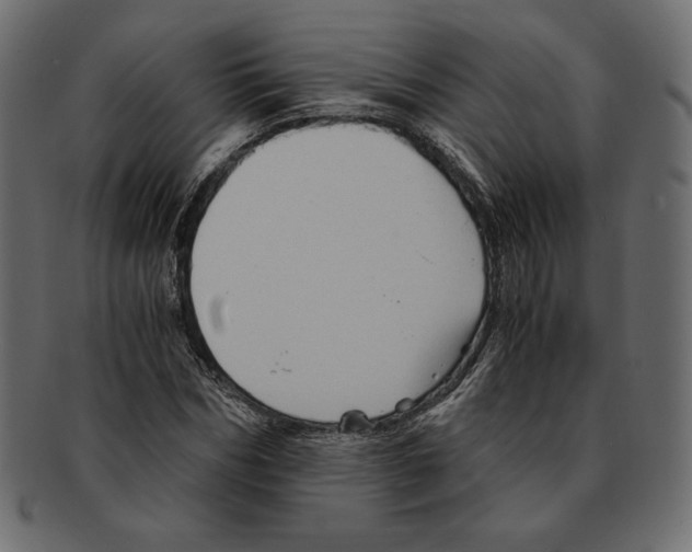 X0000091920970200710031035