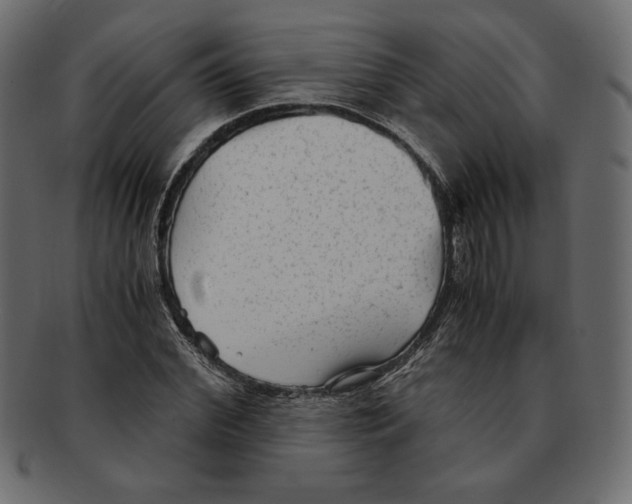 X0000091920972200710031035