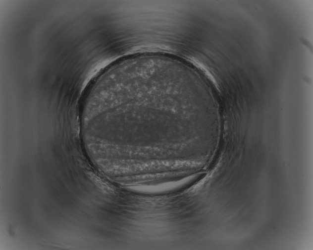 X0000091920973200710031035