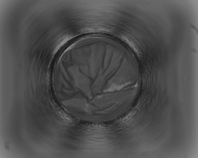 X0000091920975200710031035