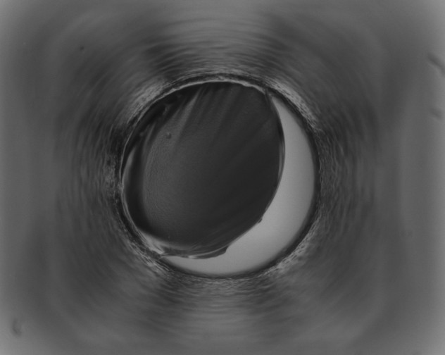X0000091920977200710031035