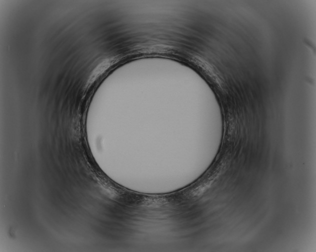 X0000091920978200710031035