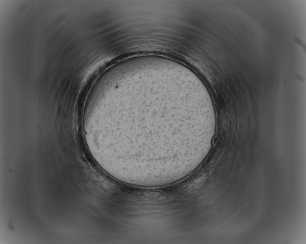 X0000091920979200710031035