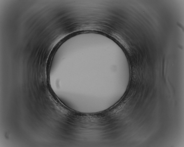 X0000091920980200710031035