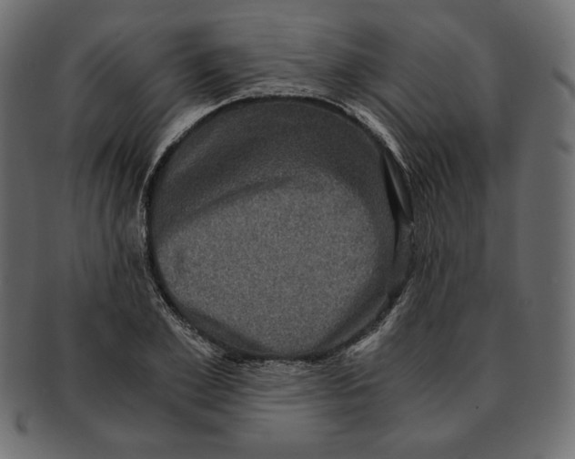 X0000091920981200710031035