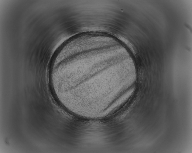 X0000091920983200710031035