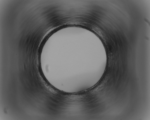 X0000091920984200710031035