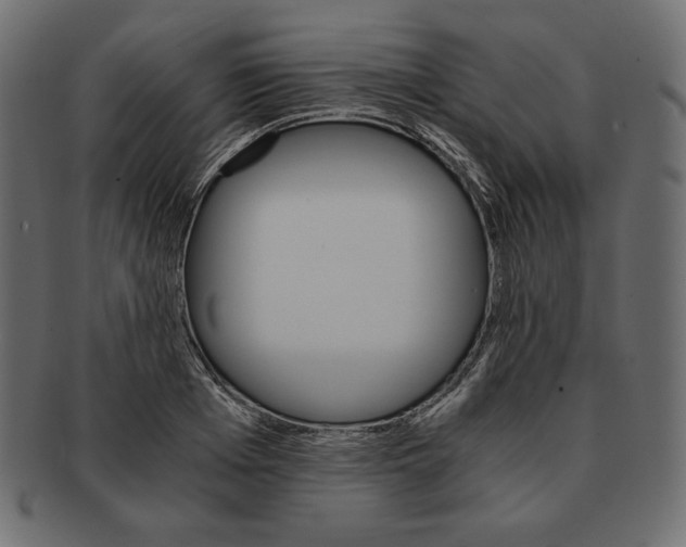X0000091920985200710031035