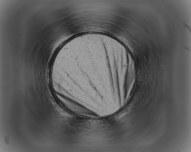 X0000091920987200710031035