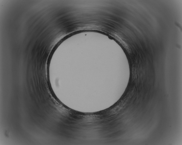 X0000091920988200710031035