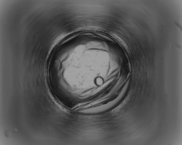 X0000091920989200710031035