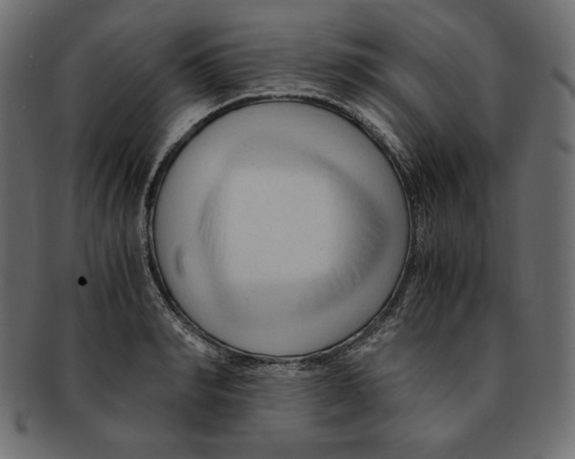X0000091920990200710031035