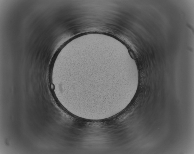 X0000091920991200710031035
