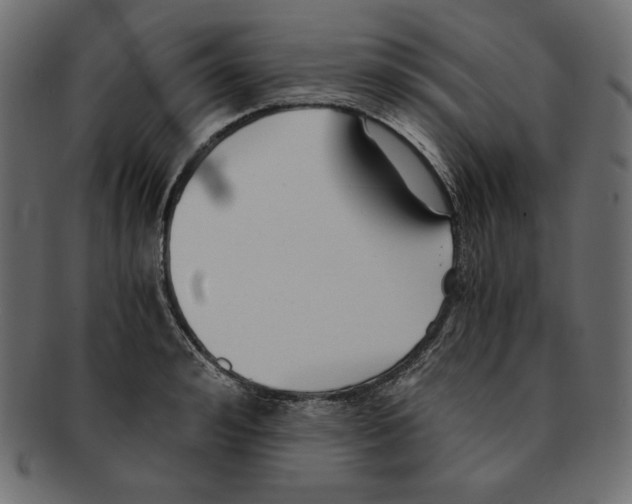 X0000091920992200710031035
