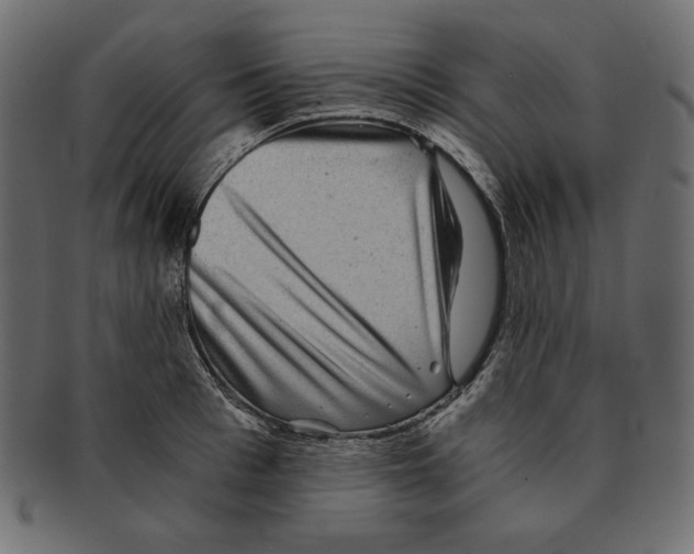 X0000091920993200710031035