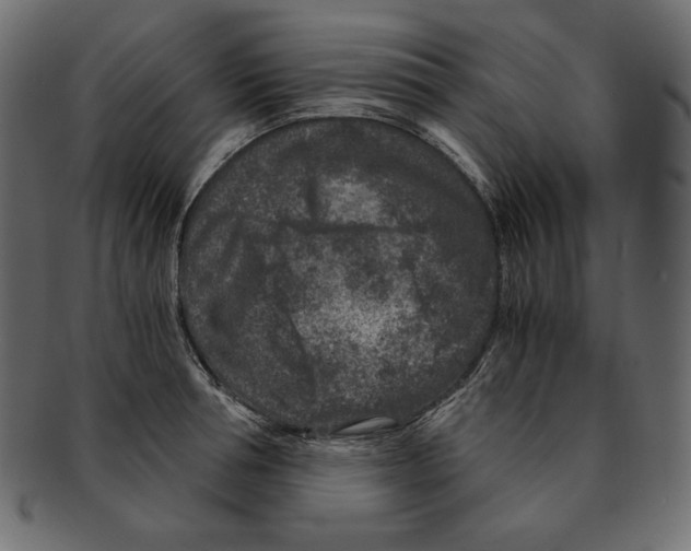 X0000091920994200710031035