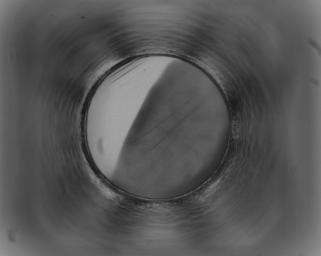 X0000091920995200710031035