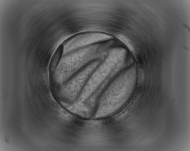 X0000091920996200710031035