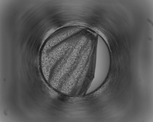 X0000091920997200710031035