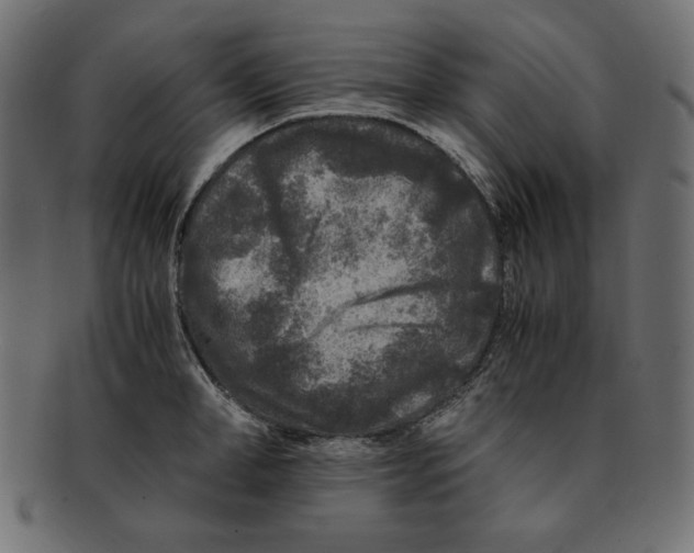 X0000091920998200710031035
