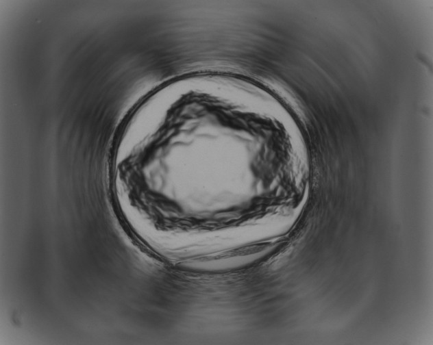 X0000091920999200710031035
