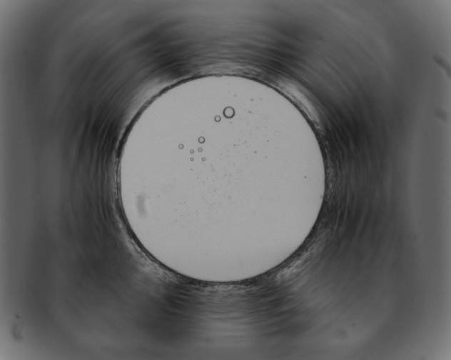 X0000091921000200710031035