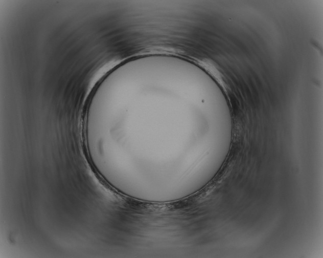X0000091921003200710031035