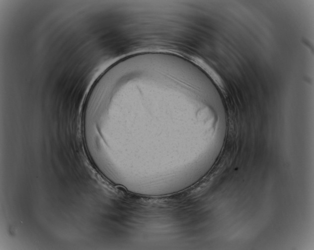X0000091921004200710031035