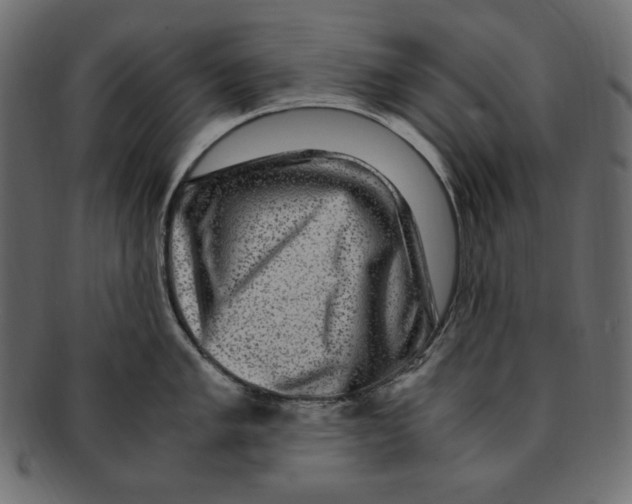 X0000091921005200710031035