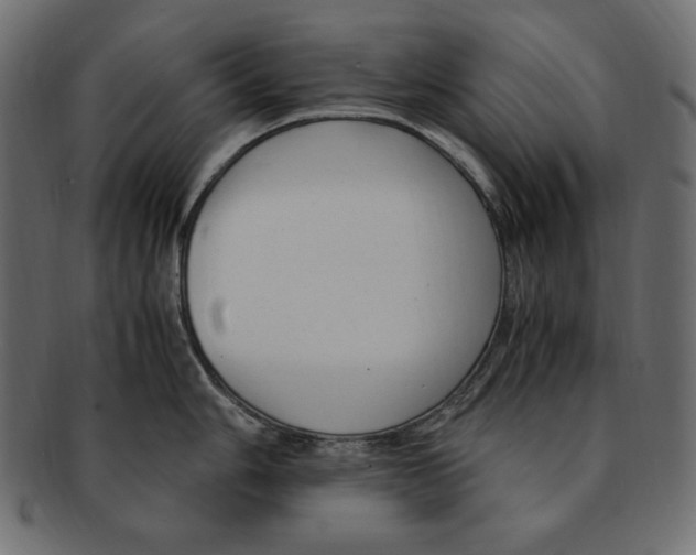 X0000091921006200710031035