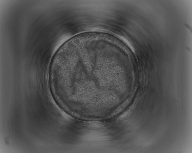 X0000091921007200710031035