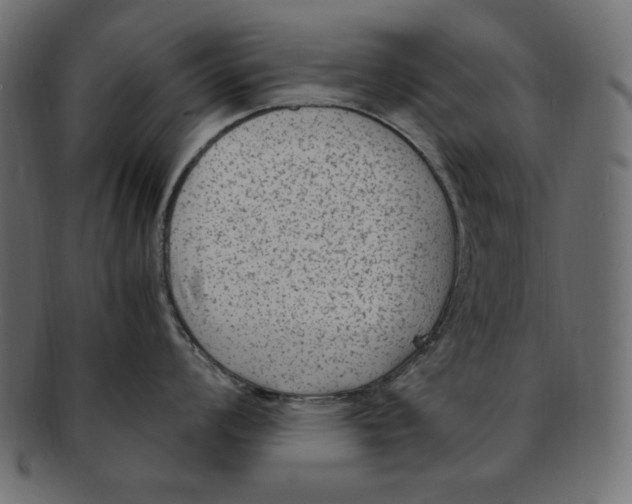 X0000091921008200710031035