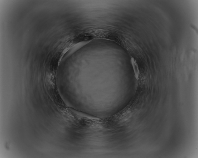 X0000091921010200710031034